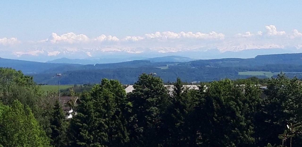 Landhotel Panoramablick Gorwihl エクステリア 写真